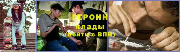 дживик Бронницы