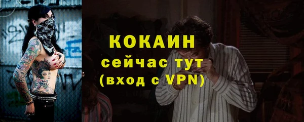 дурь Бородино