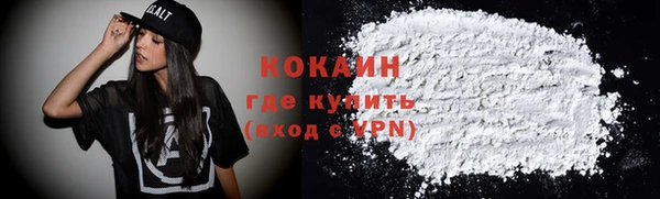 дживик Бронницы