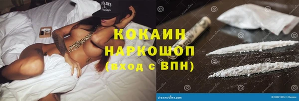 дживик Бронницы