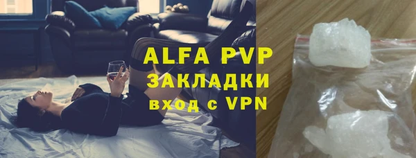 дурь Бородино