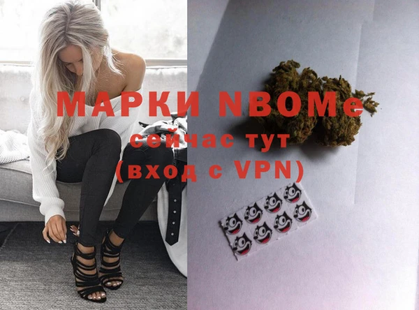 дурь Бородино